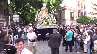 procesión de la magna Mariana quotSpes Nostra Salvequot de jerez 2024 [upl. by Octavia952]