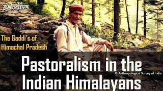 Pastoralism in the Indian Himalayans [upl. by Kerri]