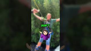 This BUNGEE JUMP will SHOCK you…😱 shorts [upl. by Baggott737]