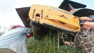 Flail Mower vs Roller Crimper Early Cover Crop Termination [upl. by Anauqal]