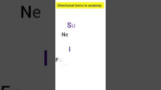 Directional terms used in anatomy [upl. by Relyat108]