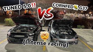 FBO G37 SEDAN ON E85🌽 VS TUNED FBO 50 MUSTANGINTENSE STREET RACE [upl. by Ellord]