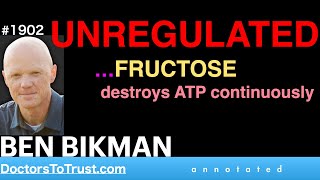 BEN BIKMAN u3  UNREGULATED…FRUCTOSE destroys ATP continuously [upl. by Ahseinaj886]