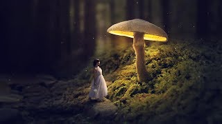 Glowing Mushroom  Photoshop Fantasy Manipulation Tutorial [upl. by Mensch]