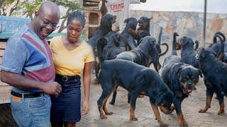 Dad and Daughter Face Their Fears at Overflowing Rottweiler Kennel with 70 Dogs [upl. by Annelise875]