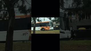 KastoriaBroadmeadows bus 5019 at Sydney RoadLoren Street intersection Hadfield Melbourne [upl. by Ahsienaj]