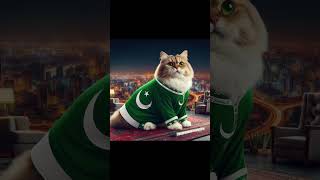 Cats dedicated to the country subscribe shorts cat cute catlover cutecat kitten [upl. by Llemij987]