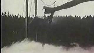 Tacoma Narrows Bridge Disaster [upl. by Nnylrats]