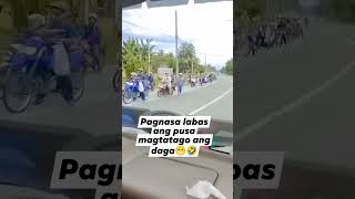 pagnasa labas ang pusa nagtatago ang daga sa kanyang lungga😁 [upl. by Ethben]