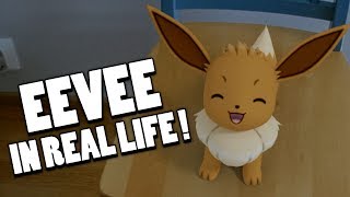 Eevee In Real Life [upl. by Aihsenal]