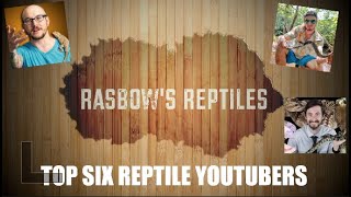 Top Six Reptile Youtubers A review of my favorite reptile related channels and why they’re the best [upl. by Dobbins]