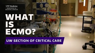 The ECMO Program at the University of Washington [upl. by Gabby]