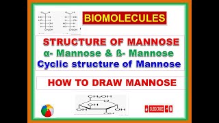 structure of Mannose Biomolecules epimers epimerisation cyclic structure of mannose examanomer [upl. by Silverman]