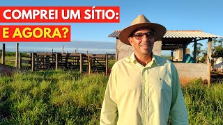 Comprei Um Sítio e Agora Gado de Engorda ou Leite [upl. by Anihsat]