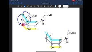 Converting Dfructose from Fischer to Haworth [upl. by Eirual409]