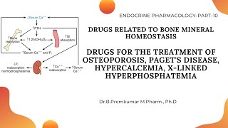 Drugs acting on Bone Mineral HomeostasisDrugs for OsteoporosisEndoPart10 [upl. by Caine614]