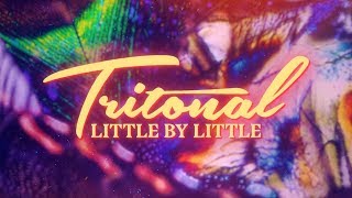 Tritonal feat Lourdiz  Little By Little Official Lyric Video [upl. by Kieger10]