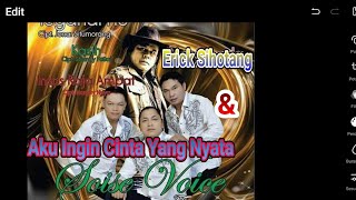 Aku Ingin Cinta Yang Nyata SOISE VOICE Feat ERICKS SIHOTANG Official Music Video [upl. by Nywroc]