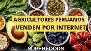 Crean plataforma donde agricultores y artesanos peruanos venden sus productos por internet [upl. by Ines518]