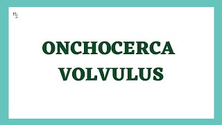 Onchocerca volvulus  Onchocerciasis  River Blindness  Lifecycle Symptoms Treatment  Full Lec [upl. by Mateya]