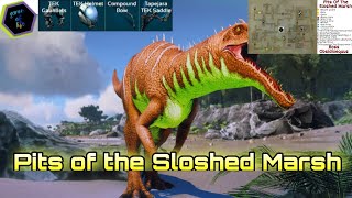 Pits of the Sloshed MarshDungeon map in my Discord link link in descriptionArkmobile [upl. by Aerb274]