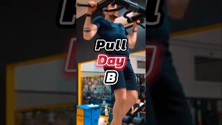 Lasciati Ispirare dalla mia Split Push Pull Legs su 6 sessioni di allenamento Pull Day B 56 [upl. by Beatrice]