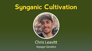 Synganic Cultivation [upl. by Ativak]