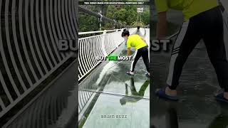 Dangerous Job Of Cleaning the Glass Bridge😱shorts youtubeshorts viralshort views growth [upl. by Assirroc593]