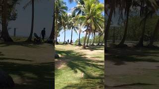 Tropical vibes at Unisan Sands Beach Resort in Quezon Province youtubeshorts youtube shorts [upl. by Dagny]