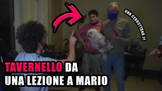 TAVERNELLO DA UNA LEZIONE A MARIO [upl. by Thilde]