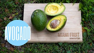 Avocado Salsa Recipe [upl. by Dudden]