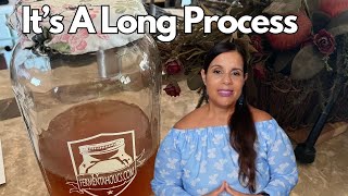 We Started The Process Of Making The Kombucha [upl. by Ailido]