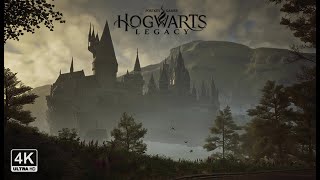 Explore Hogwarts Castle in First Person  Ambient Gaming  Hogwarts Legacy  Halloween [upl. by Eyr159]