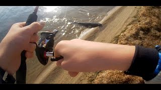 Hunt for the Gippsland Lakes Metre Flattie  Ep 1 New PB [upl. by Eldnek319]