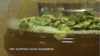 Homebrew HowTo Dry Hopping Your Beer [upl. by Saxen]