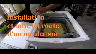 Tuto  incubateur pour oeuf de reptile  installation  reproduction serpent des blés  python [upl. by Clementia]