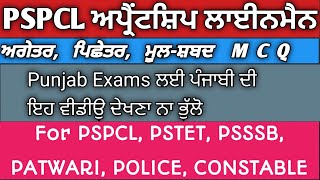 ਅਗੇਤਰ ਪਿਛੇਤਰ Agetar Pichetar MCQ for PSPCL PSTET PSSSB Punjab Exams Constable patwaripolice [upl. by Aieka391]