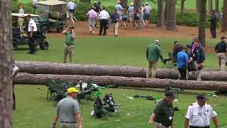 No injuries reported from fallen trees at Augusta  2023 Masters [upl. by Hacim]