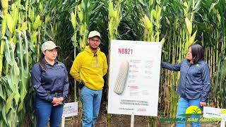 DÍA DE CAMPO EN AGRÍCOLA GALLEGOS E HIJOS [upl. by Airdnat]