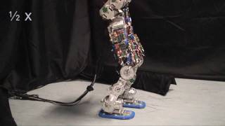 Compliant humanoid robot COMAN learns to walk efficiently [upl. by Sirdna]