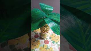 Diy artificial plants [upl. by Wernick]