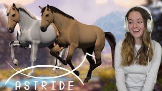 ASTRIDE A FIRST LOOK AT HORSE COATS  ANIMATIONS Upcoming Horse Game  Pinehaven [upl. by Nonrev]