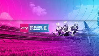 WATCH  Very Camogie 1B League Final  Wexford v Dublin [upl. by Enilrae]