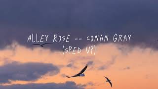 Alley Rose  Conan Gray sped up ver [upl. by Adigirb]