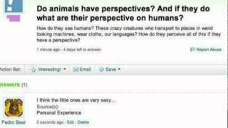 Trolling Yahoo Answers [upl. by Cirdek]