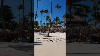 🇩🇴 Catalonia Bavaro Beach Punta Cana Dominican Rep 🌴playa bavaro bachata beachhotel resort [upl. by Lowe488]