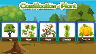 Classification of plants  Different types of plants  Types of plants  Plant taxonomy [upl. by Anitsihc]