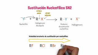 Sustitución Nucleofílica SN2 [upl. by Ahgiel]