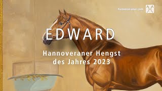 Hannoveraner Hengst des Jahres 2023 Edward v EmbassyFabrianoSingular Joter [upl. by Apfel]