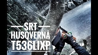 SRT  Tree Climbing  Bulldog Bone  Husqverna T536LiXP  Arborist  GoPro [upl. by Akeem]